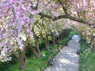 Conservatory Garden Photo Spot