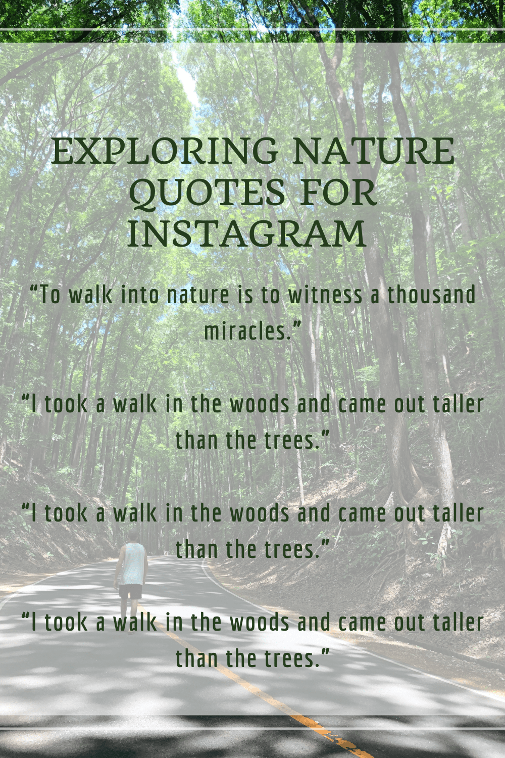 Exploring Nature Quotes
