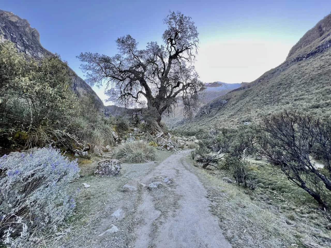 Laguna 69 Terrain