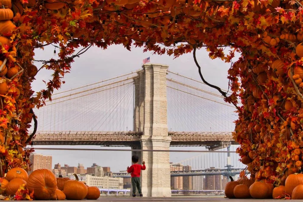 Pier 17 Pumpkins