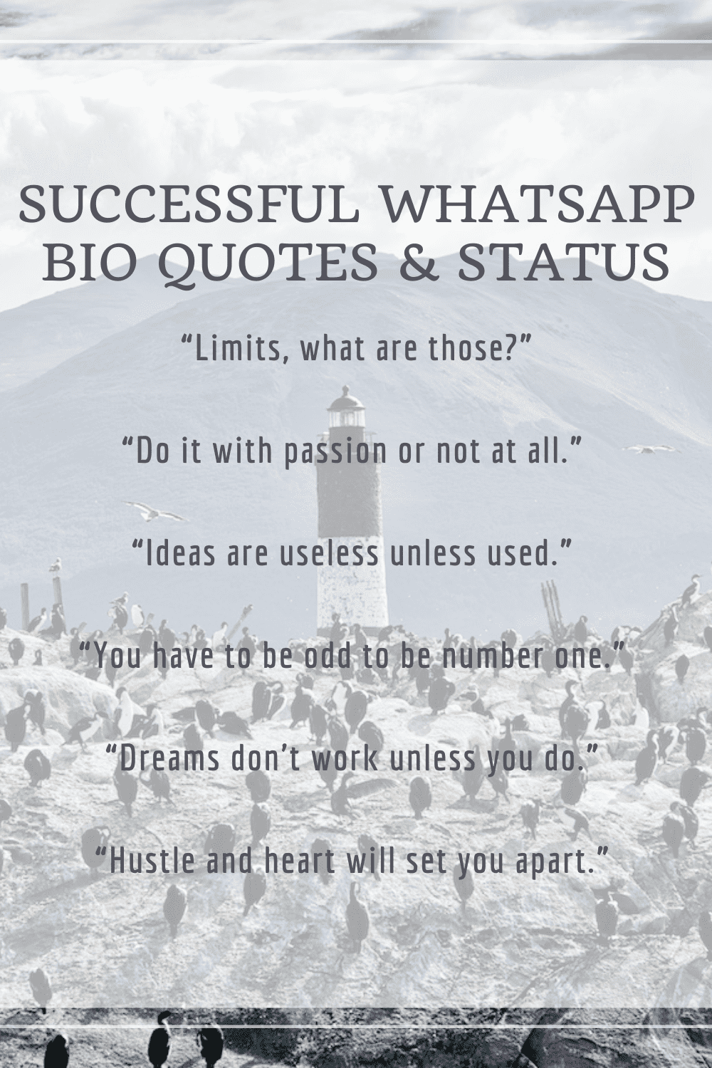 Successful Quotes for WhatsApp Bio