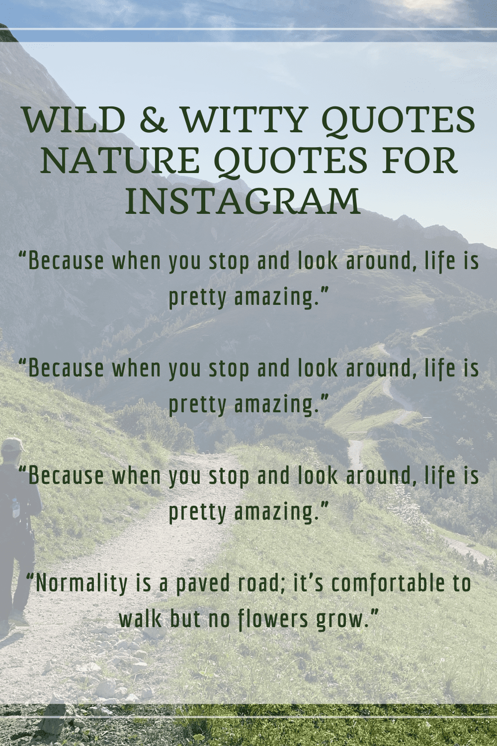 Wild & Witty Quotes Nature Quotes