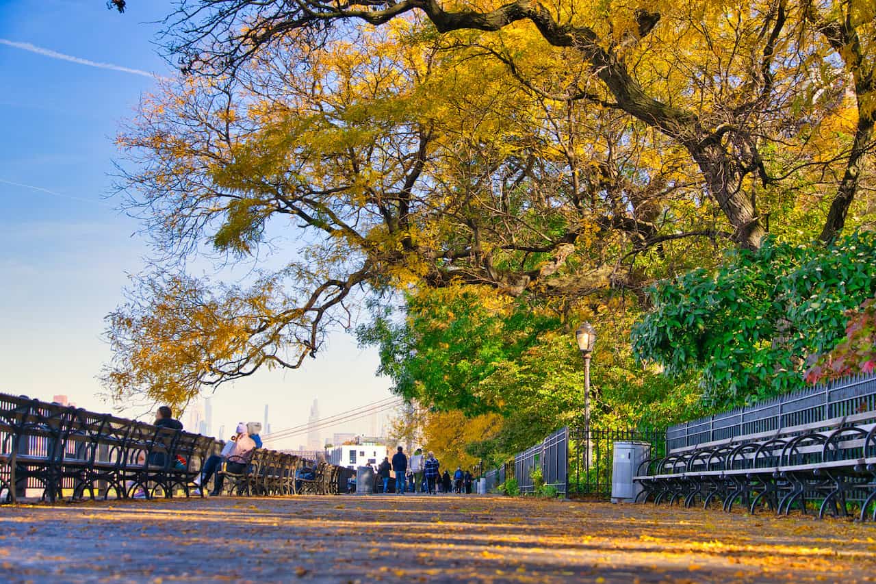 Brooklyn Heights Promenade Foliage
