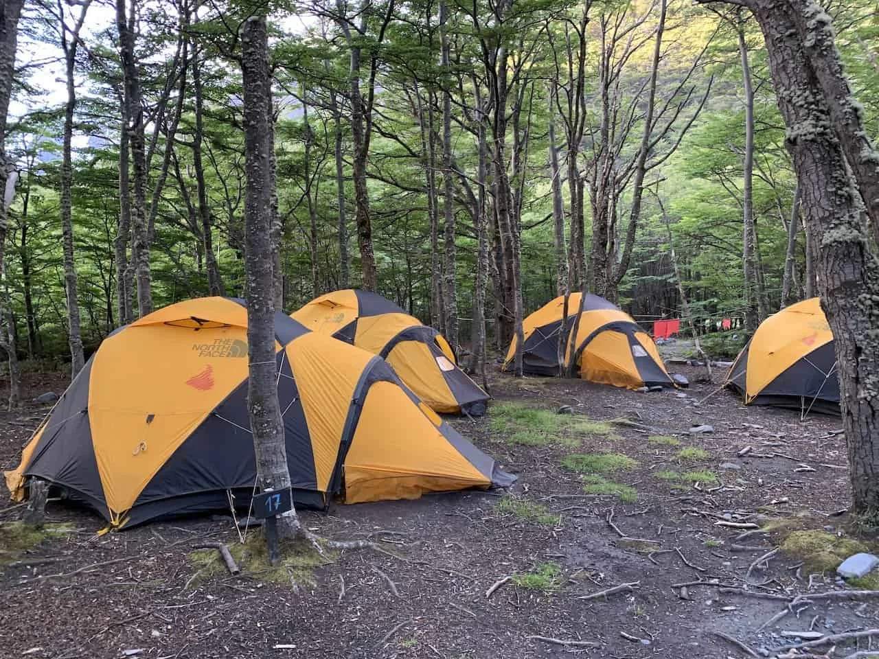 Camp Torres del Paine