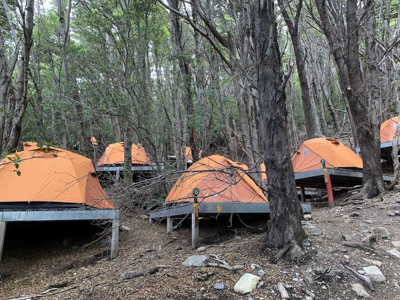 Camping W Trek