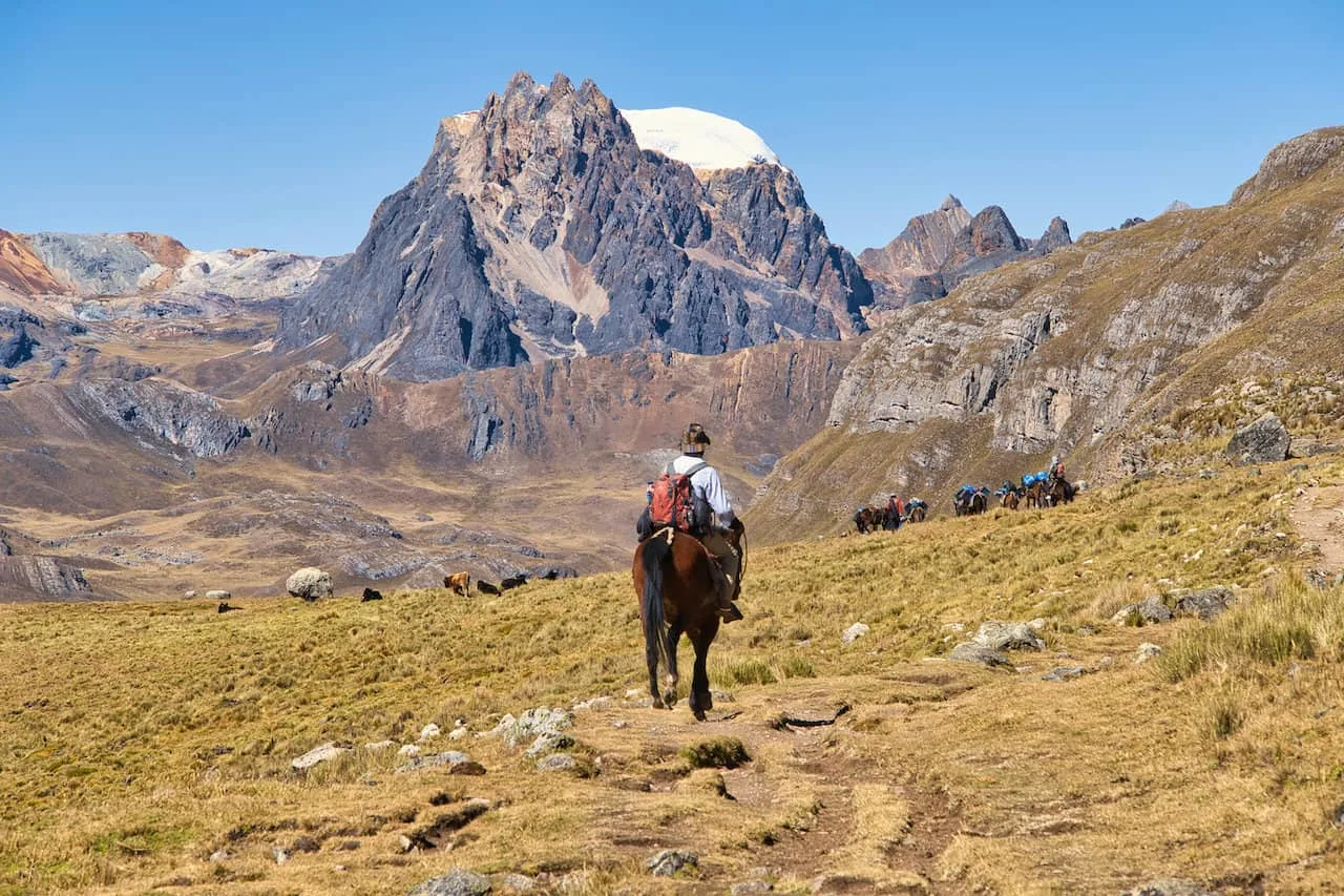 Huayhuash Horses