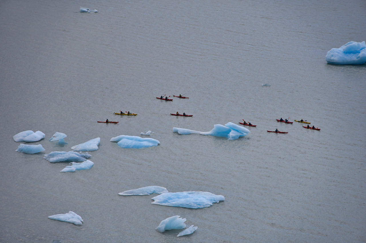 Grey Glacier Kayak