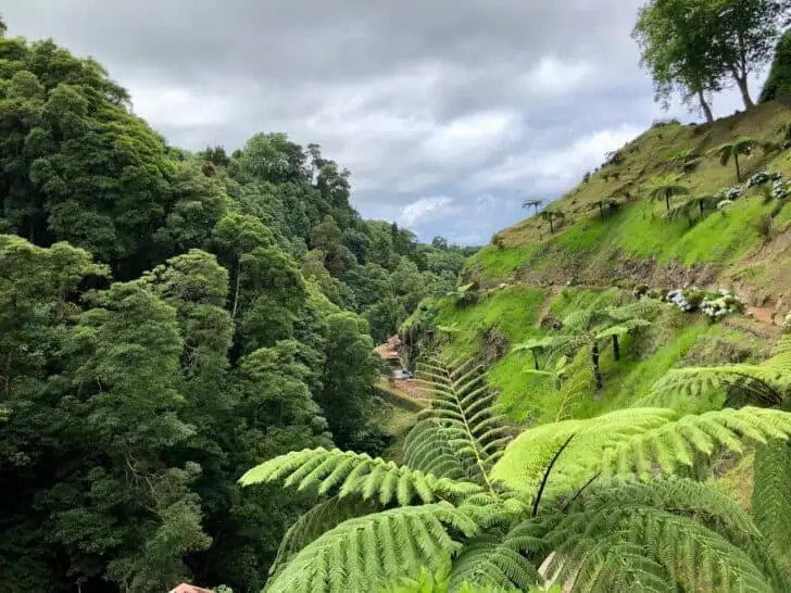 Why Nature-Filled Retreats Are Becoming the Ultimate Escape