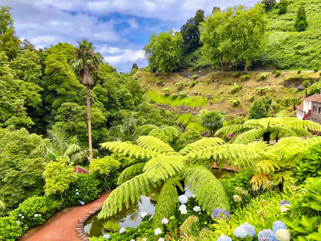 Azores Islands Flora