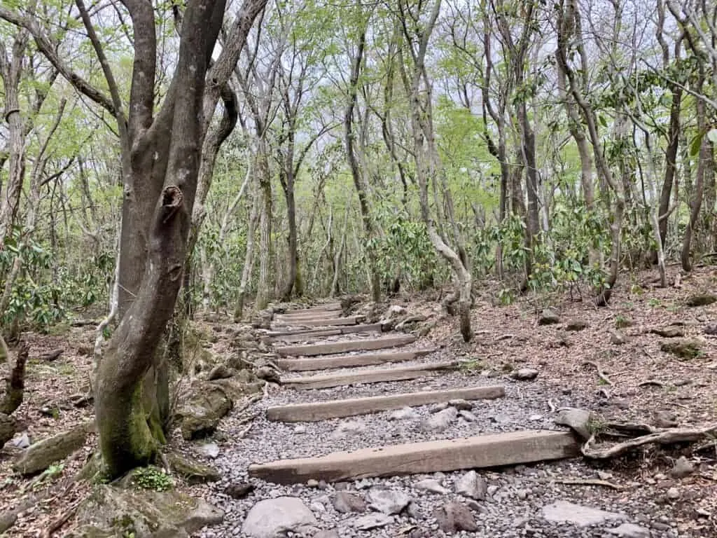 Beginning of Hallasan Hike