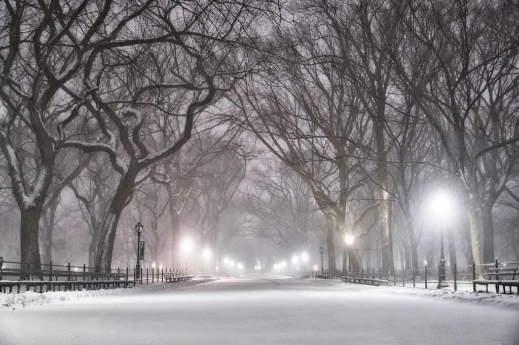 Central Park at Night