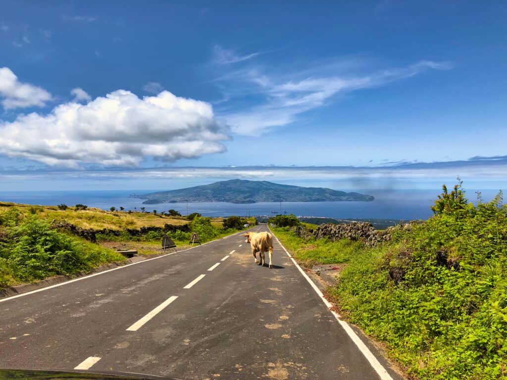 Driving Azores Islands