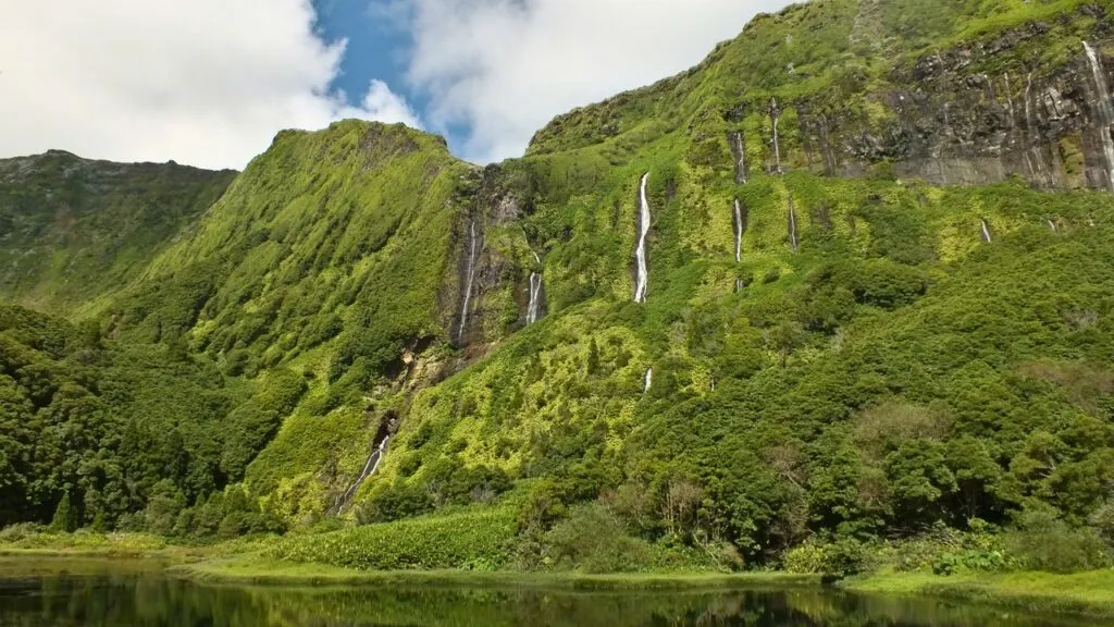 Flores Azores