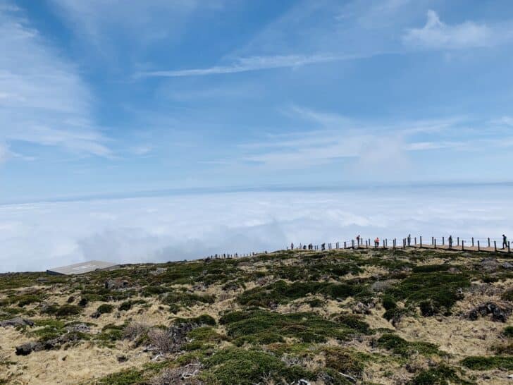 Mount Hallasan Hike of Jeju Island Complete Guide (Top of South Korea)