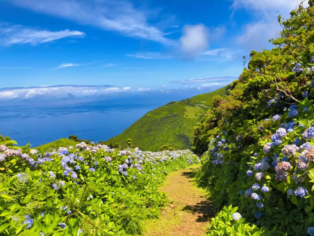 Sao Jorge Hiking Trails