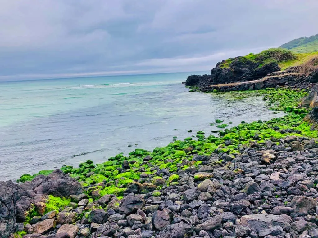 Jeju Island Beaches