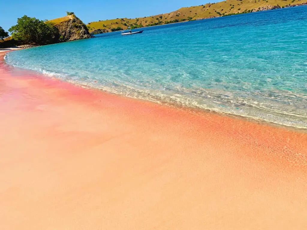 Komodo Pink Beach