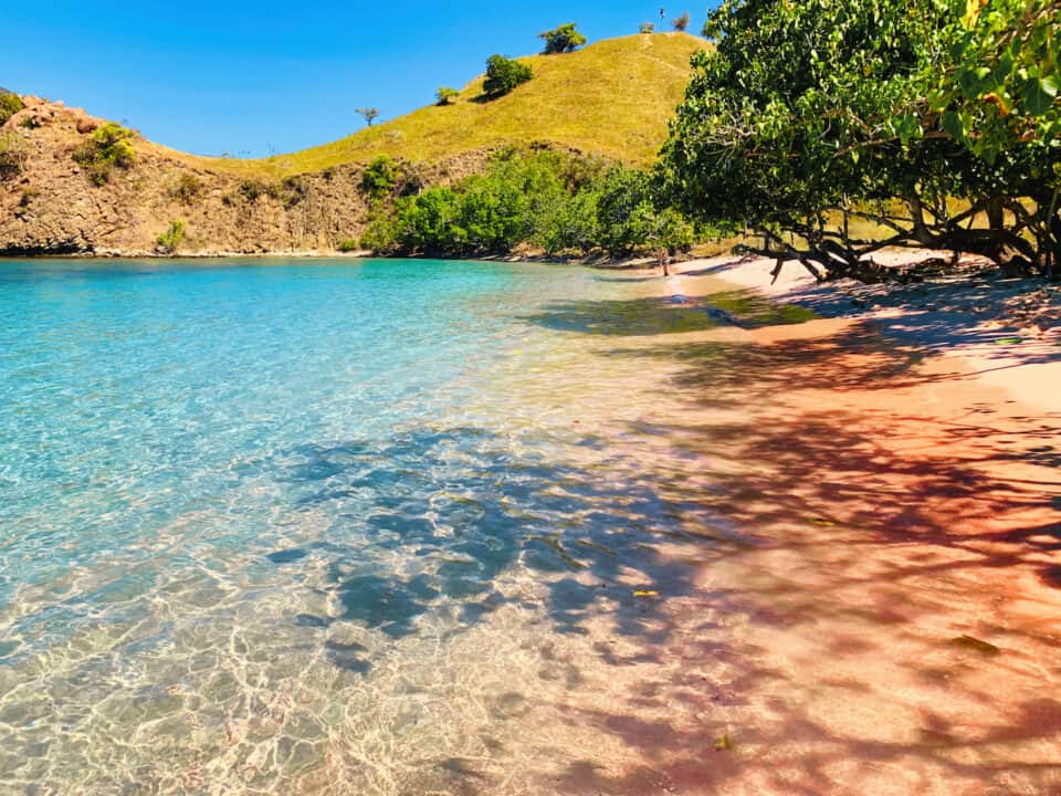 The STUNNING Komodo Island Pink Beach (Labuan Bajo, Indonesia)