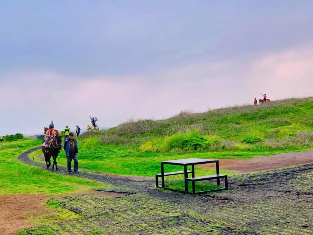 Seopjikoji Horseback Riding