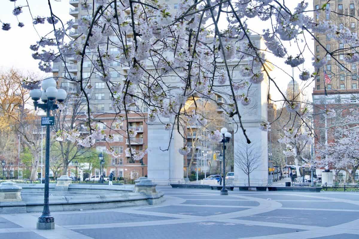 Curated visual reference: Visual Reference: The 6 Best Hotels In Greenwich Village Nyc Local S