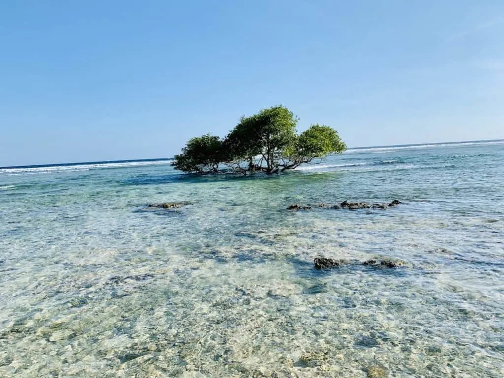 Gili Islands Beach