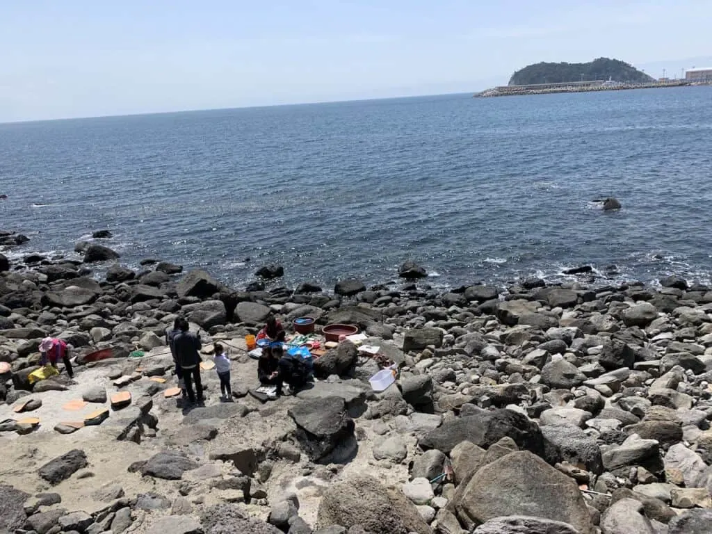 Jeju Island Seafood