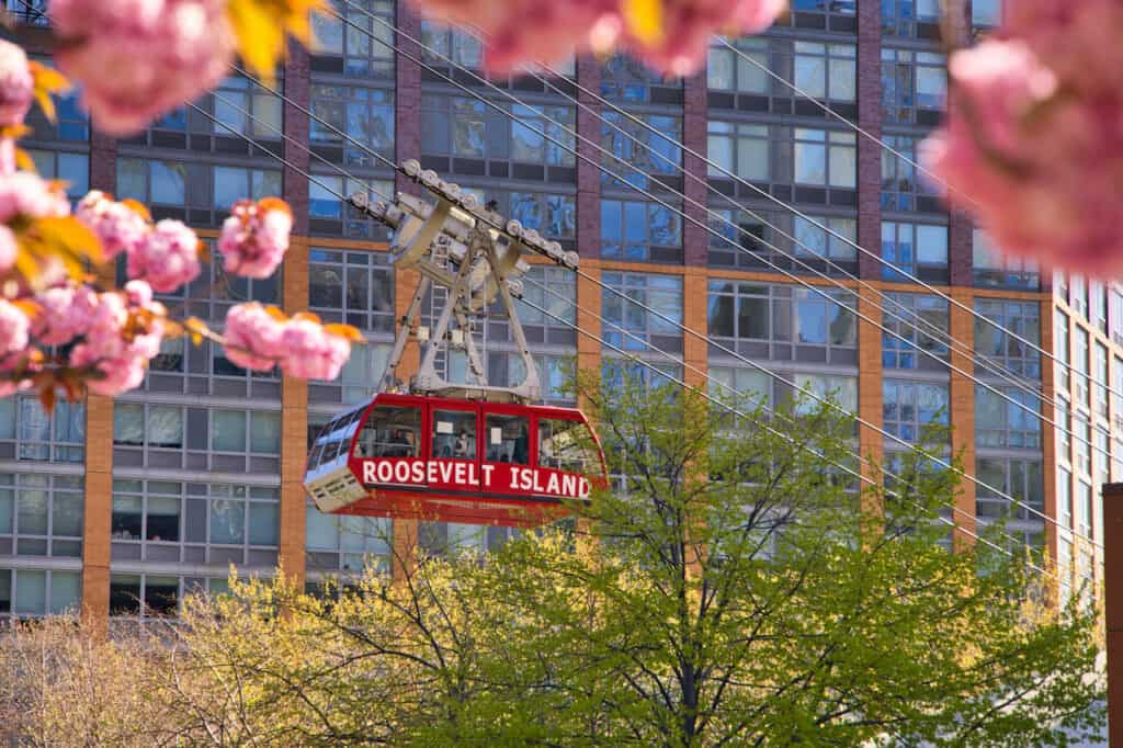 Roosevelt Island Tram Cherry Blooms