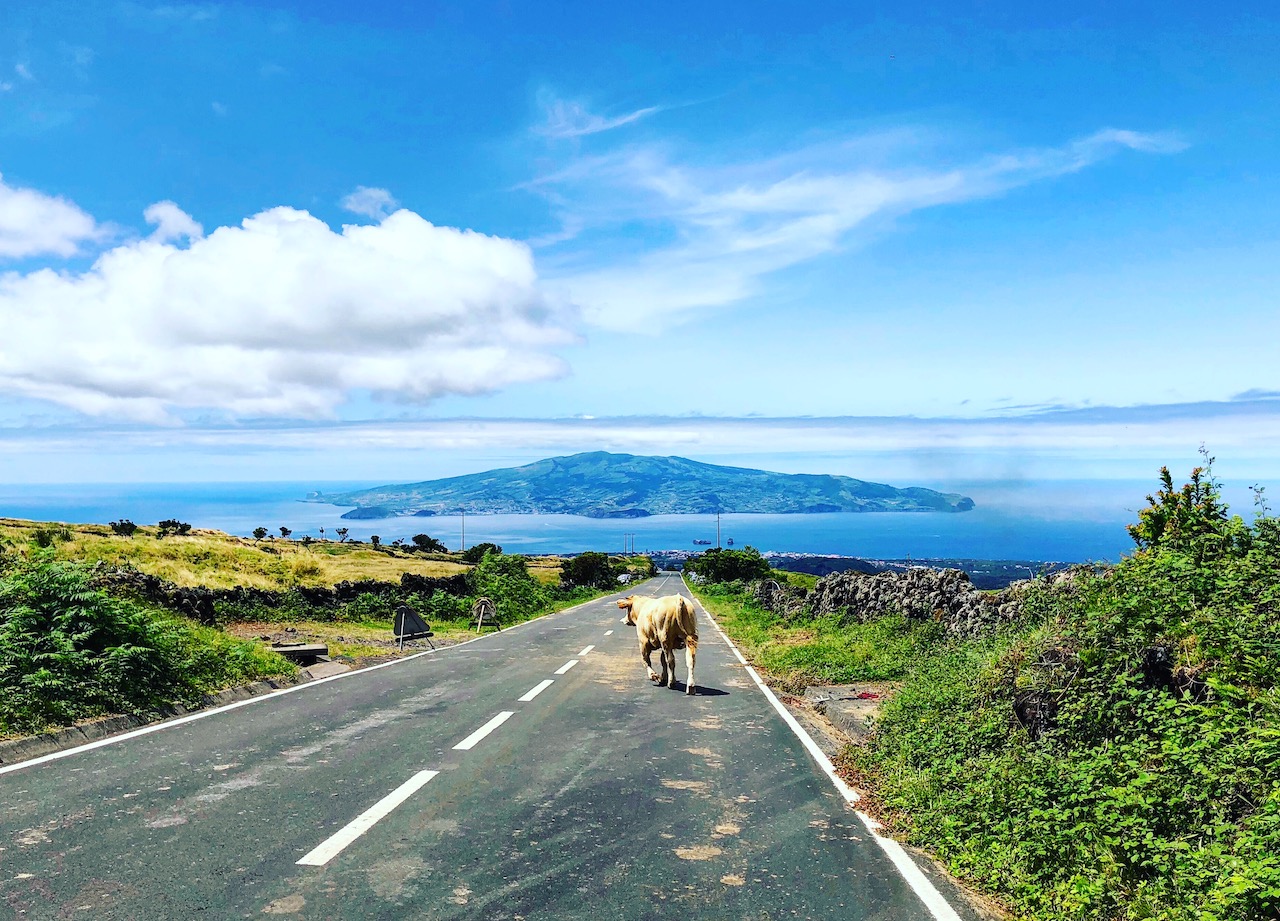 Things To Do Azores