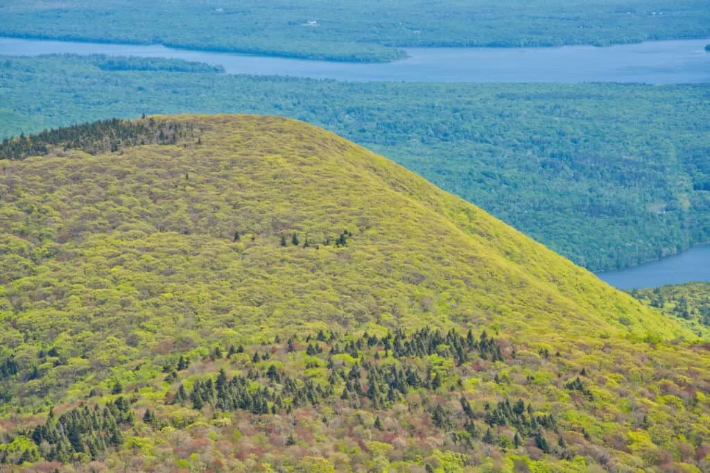 Ashokan Catskills