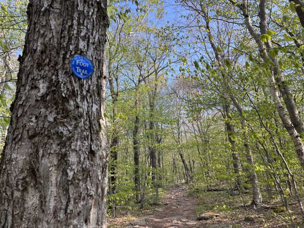 Blue Foot Trail Markers
