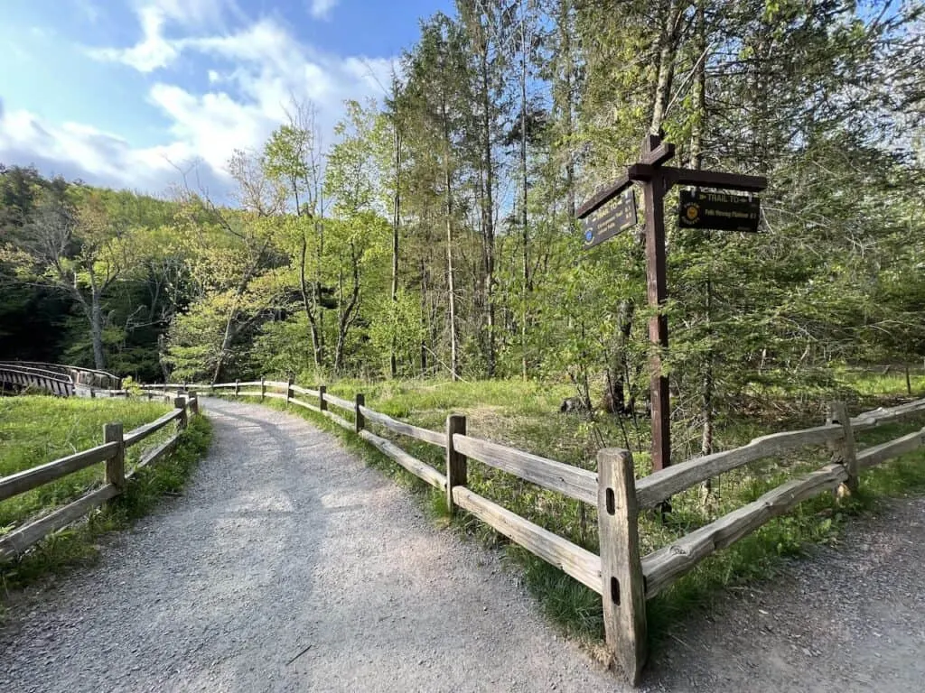 Blue Trail Intersection