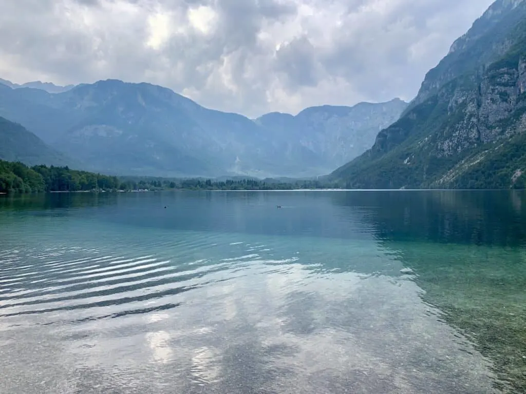 Bohinj Swimming