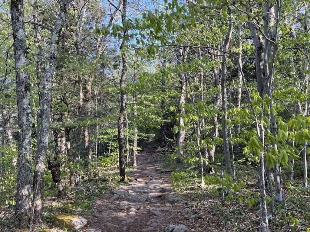 Catskills Trail Hiking