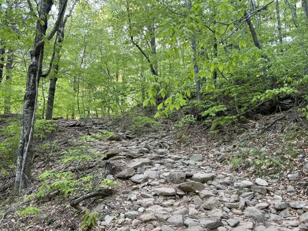 Giant Ledge Terrain