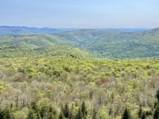 Giant Ledge and Panther Mountain