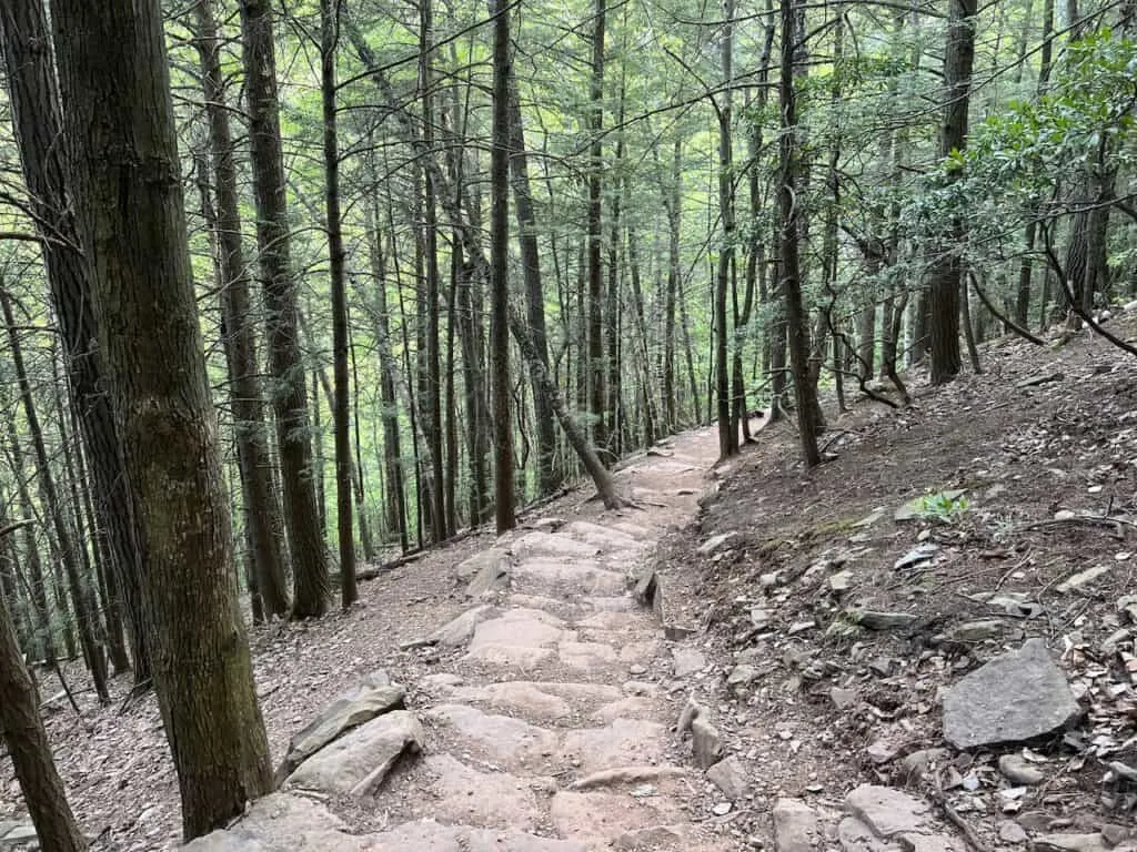 Kaaterskill Falls Stairs