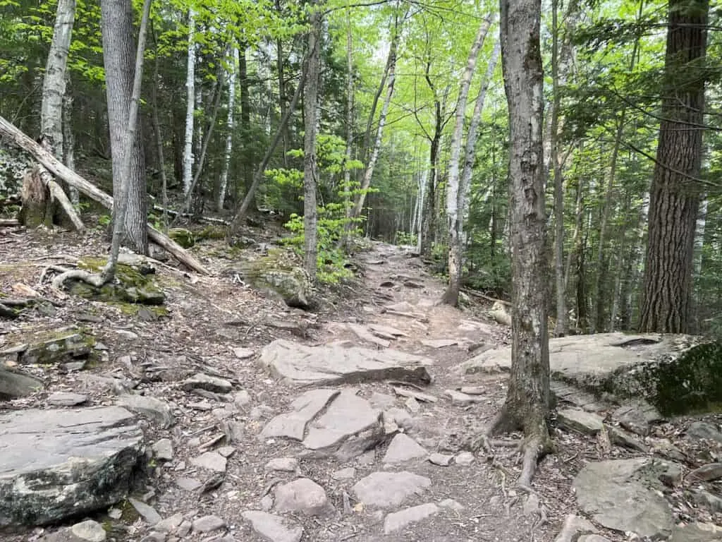 Kaaterskill Falls Trail