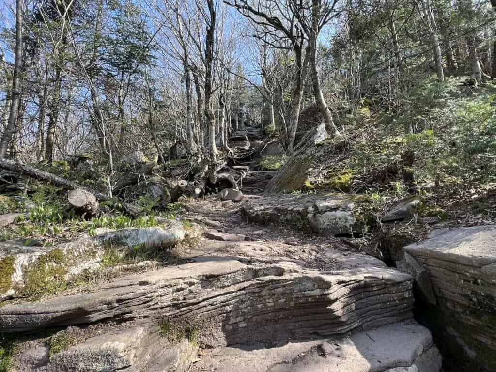 Panther Mountain Hike