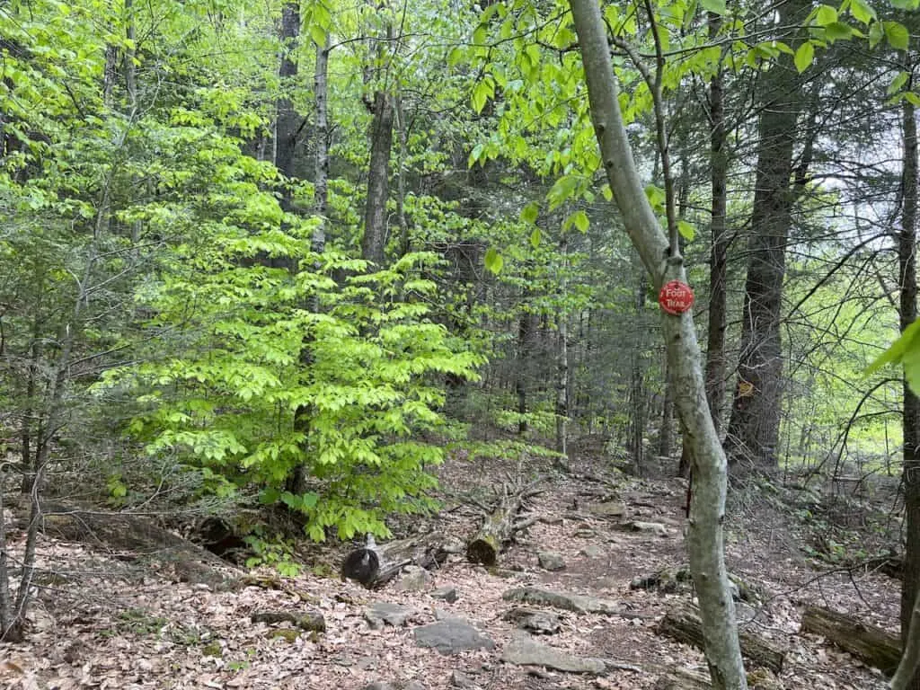 Red Trail North Lake