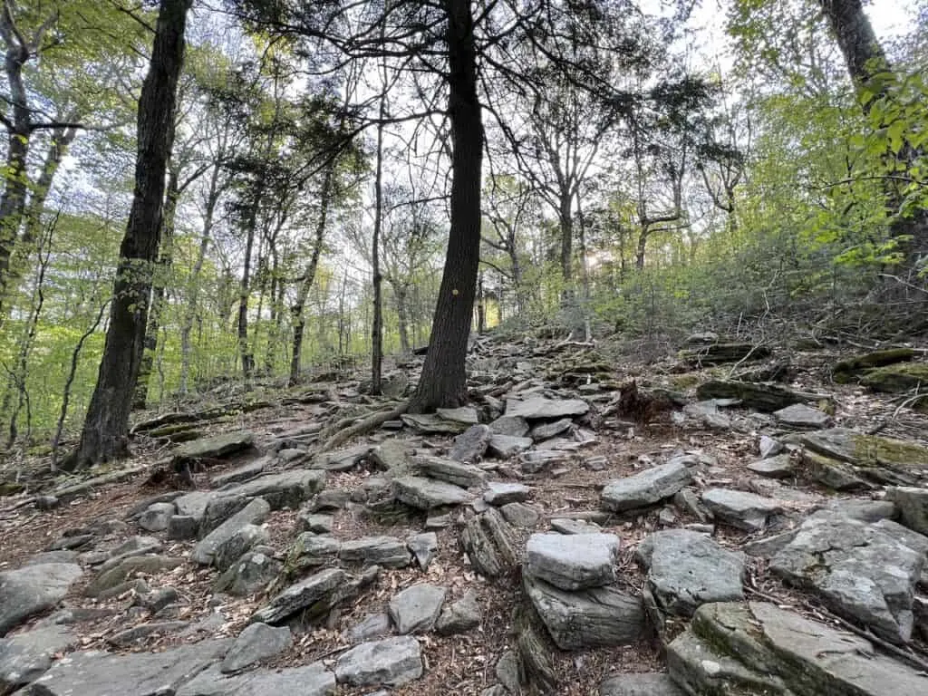 Slide Mountain Wilderness Terrain