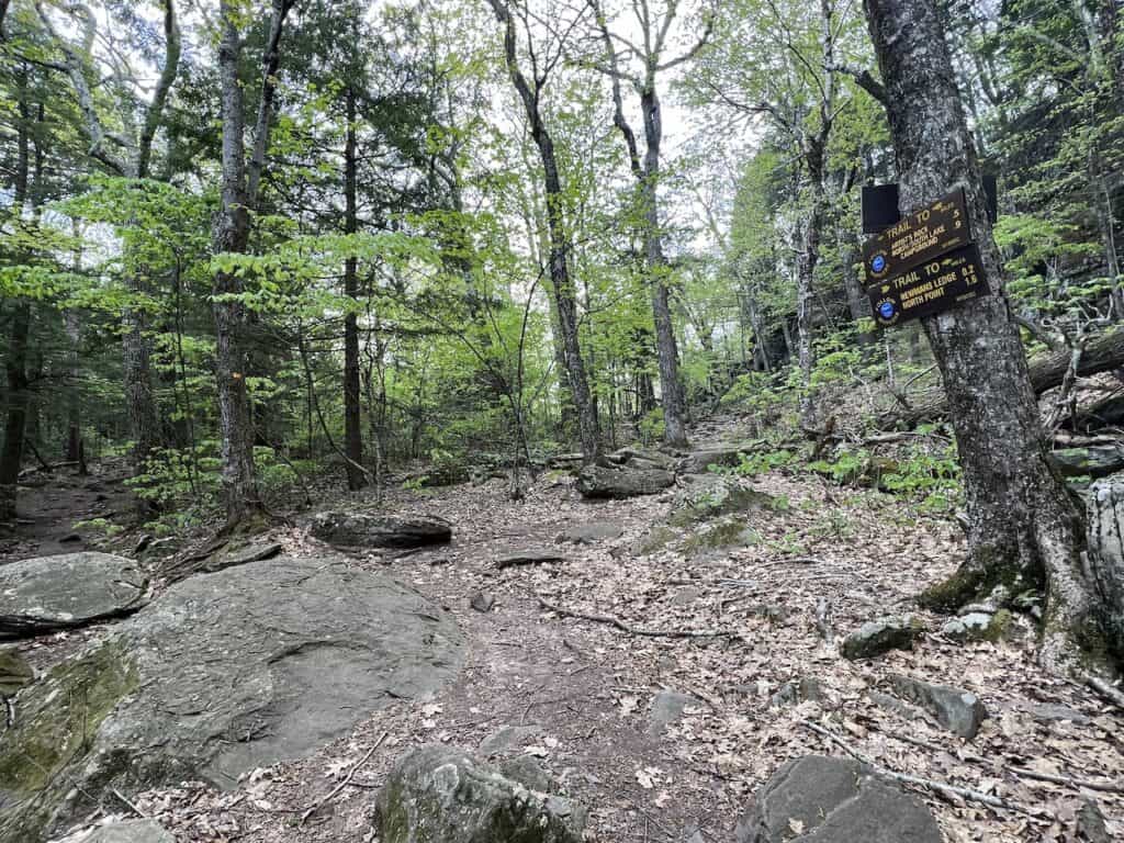 Sunset Rock Intersection