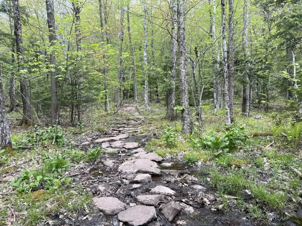 Trail to North Point