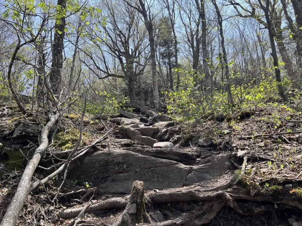 Wittenberg Mountain Scramble