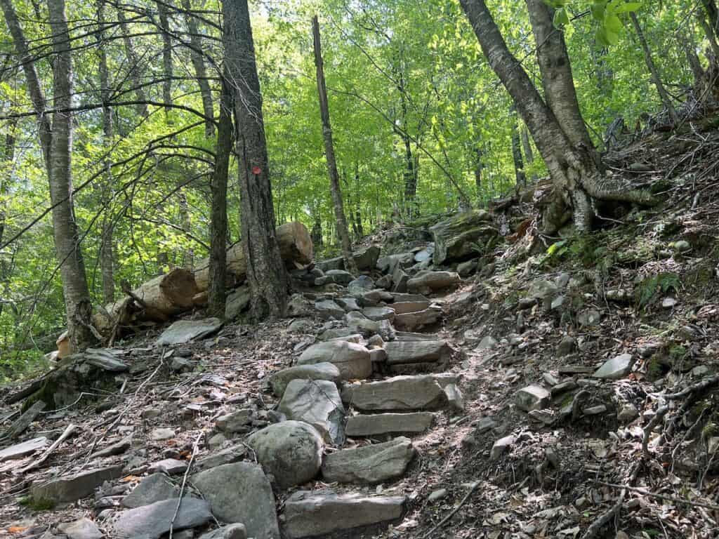 Wittenberg Mountain Steps