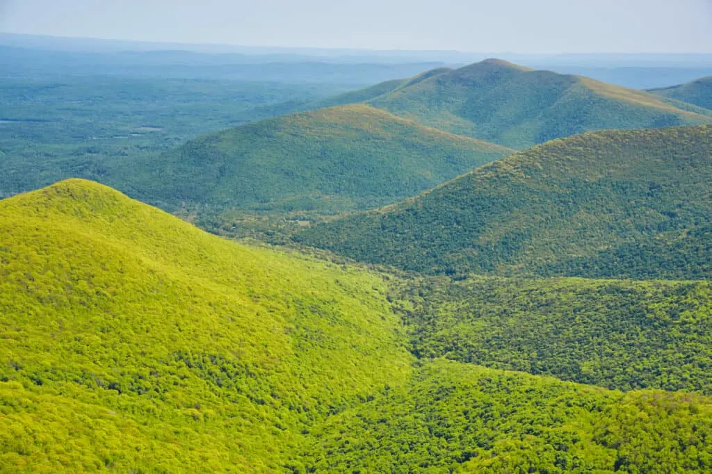 Wittenberg Mountain Summit