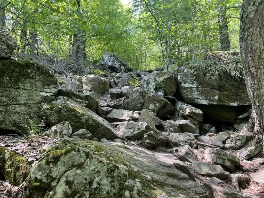 Wittenberg Mountain Terrain