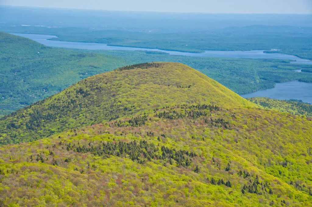 Wittenberg Mountain View