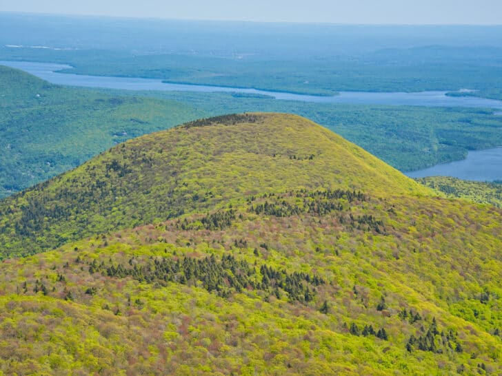 Top Layout Ideas for Travel Photobooks: From Maps to Memories