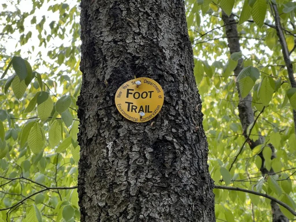 Yellow Foot Trail Marker