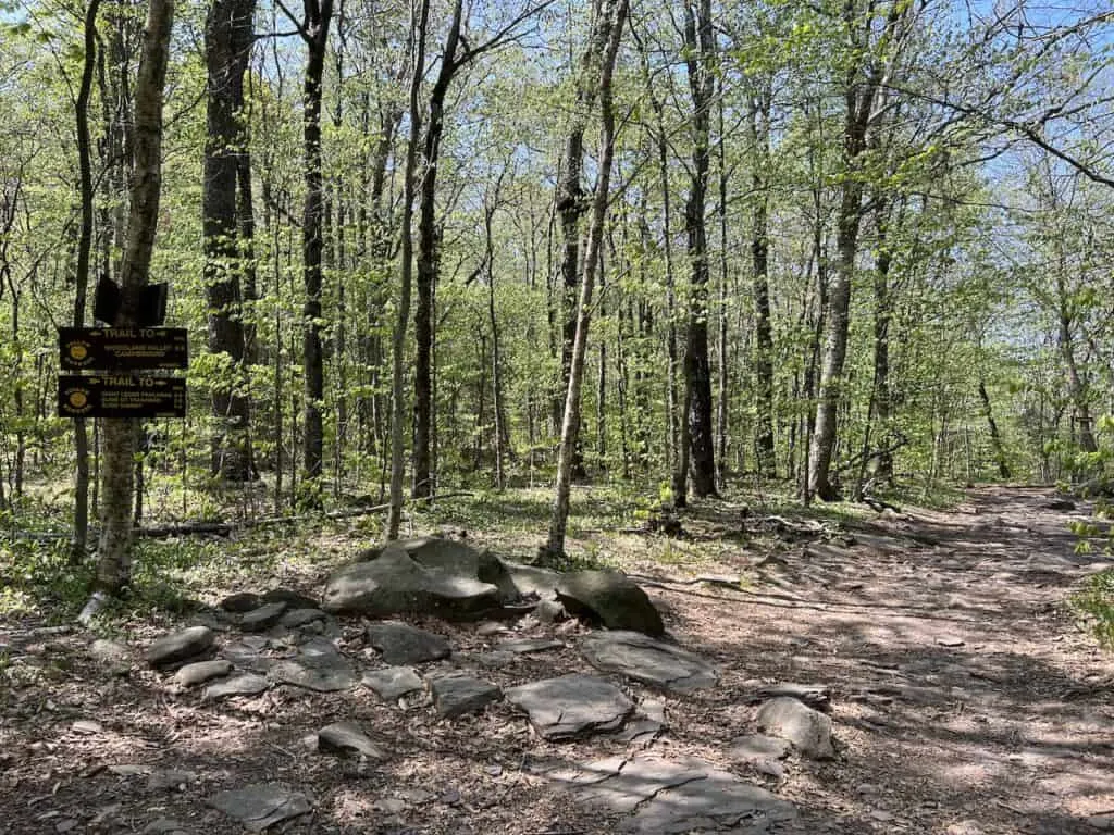 Yellow Trail Intersection